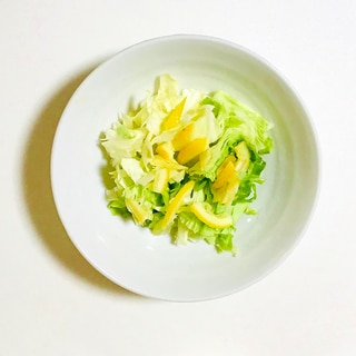 ざく切りキャベツの簡単サラダ
